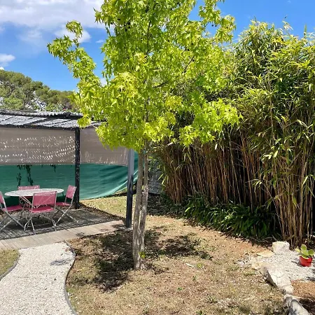 3 Pieces Renove Avec Jardin Antibes